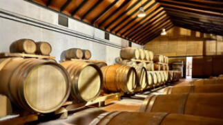 Visita a bodega con degustación y cata de vinos